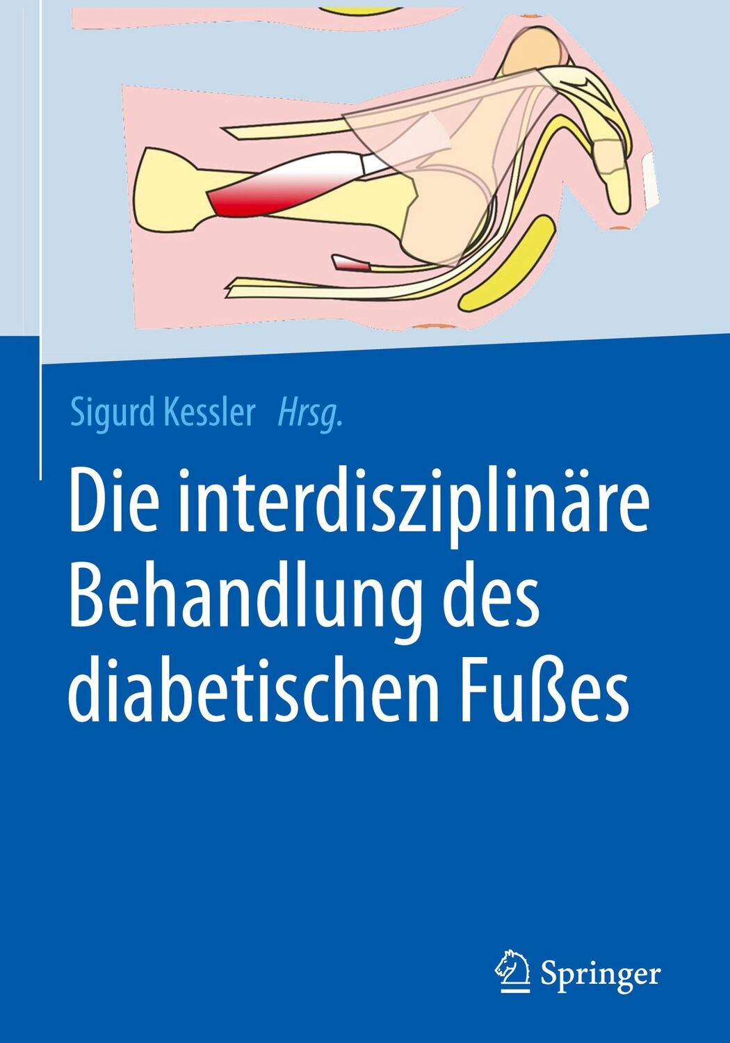 Cover: 9783662631188 | Die interdisziplinäre Behandlung des diabetischen Fußes | Kessler