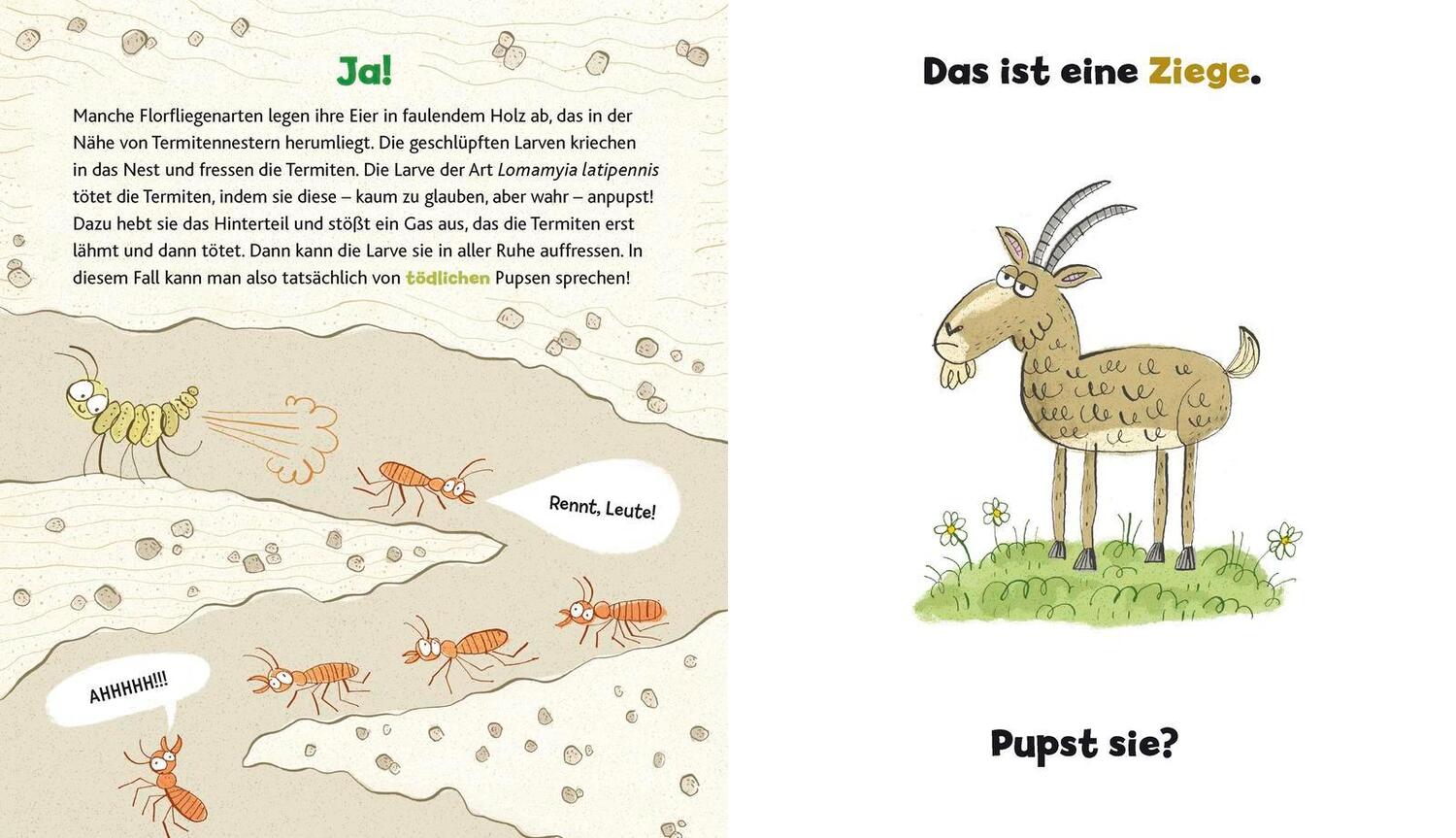 Bild: 9783737357036 | Wer hat hier gepupst? | Das ultimativ-tierische Pupsbuch | Buch | 2020