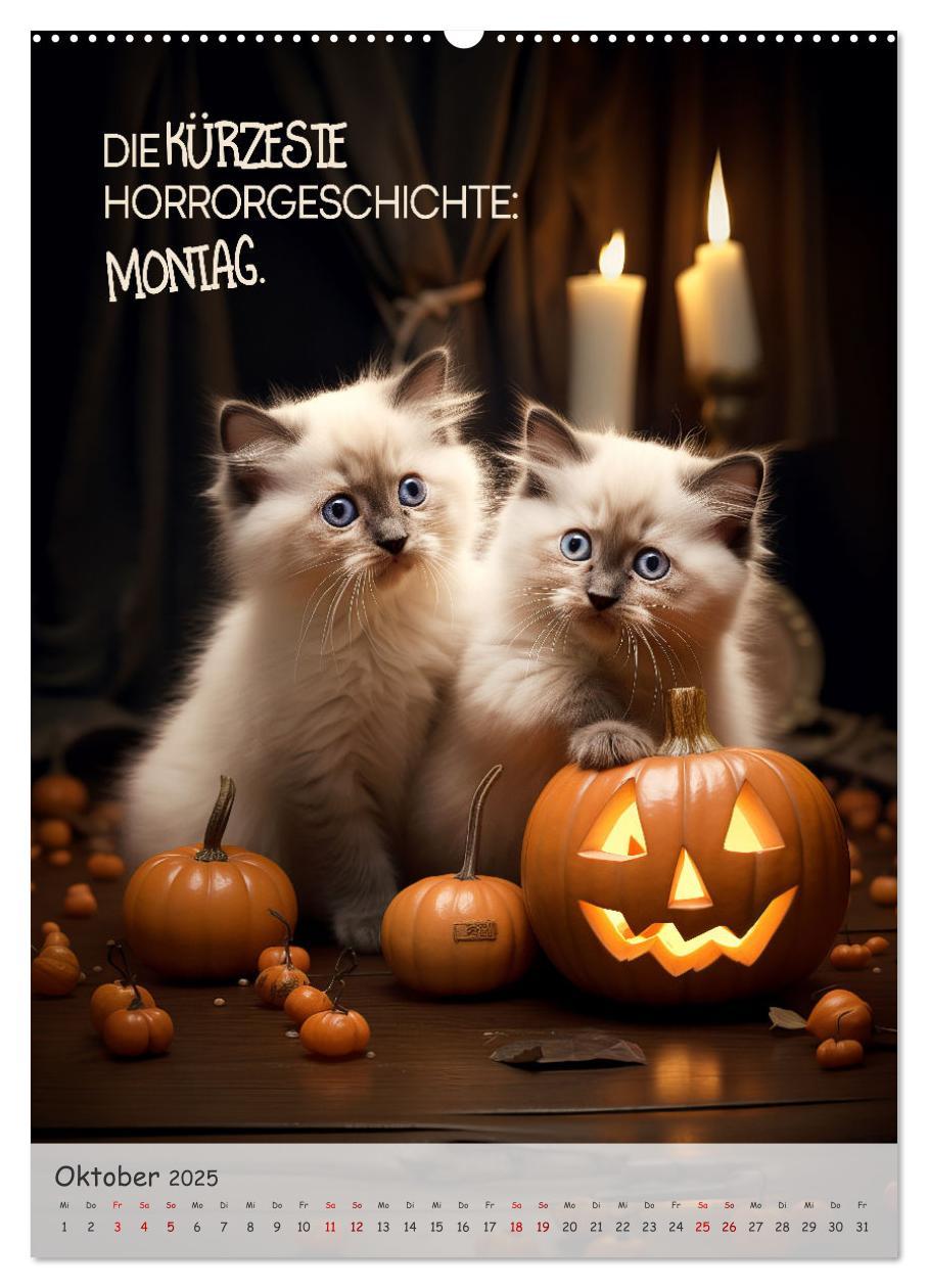 Bild: 9783383771460 | COOLE KATZEN Sprücheklopfer (Wandkalender 2025 DIN A2 hoch),...