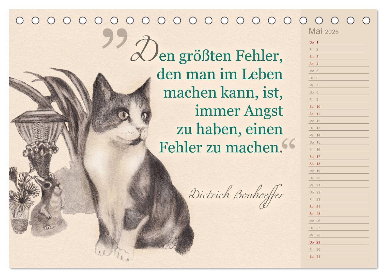 Bild: 9783435454396 | Von Katzen lernen (Tischkalender 2025 DIN A5 quer), CALVENDO...