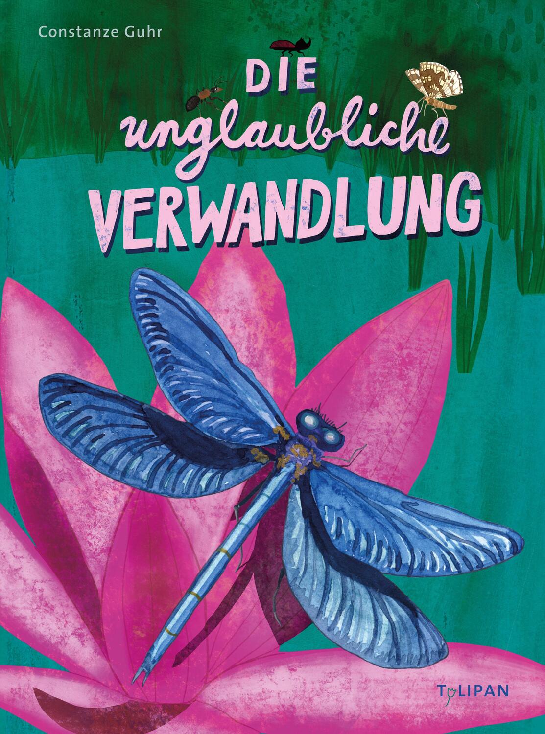 Cover: 9783864295379 | Die unglaubliche Verwandlung | Constanze Guhr | Buch | 40 S. | Deutsch