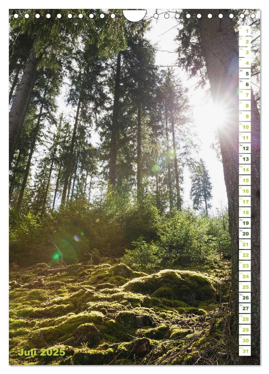 Bild: 9783435945481 | EIFEL - Kraftorte Wald und Wasser (Wandkalender 2025 DIN A4 hoch),...