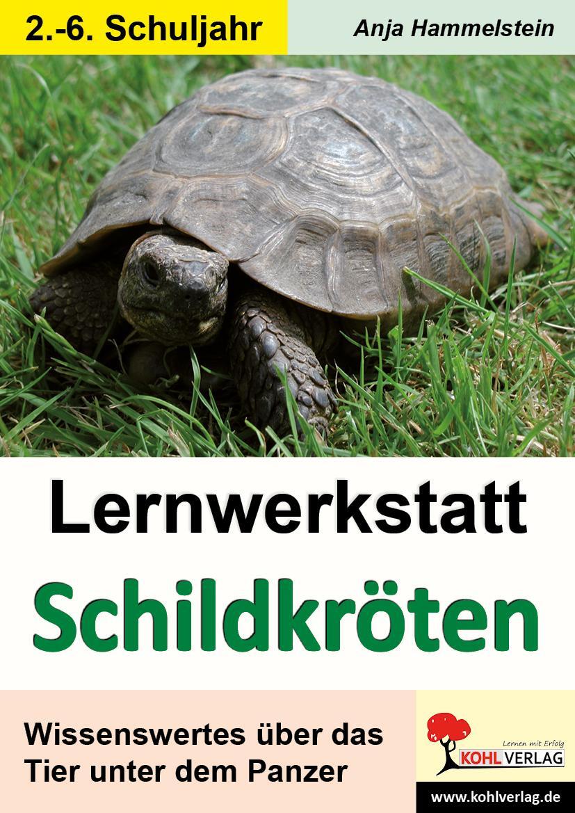 Cover: 9783866326460 | Lernwerkstatt Schildkröten | Broschüre | Lernwerkstatt | Deutsch