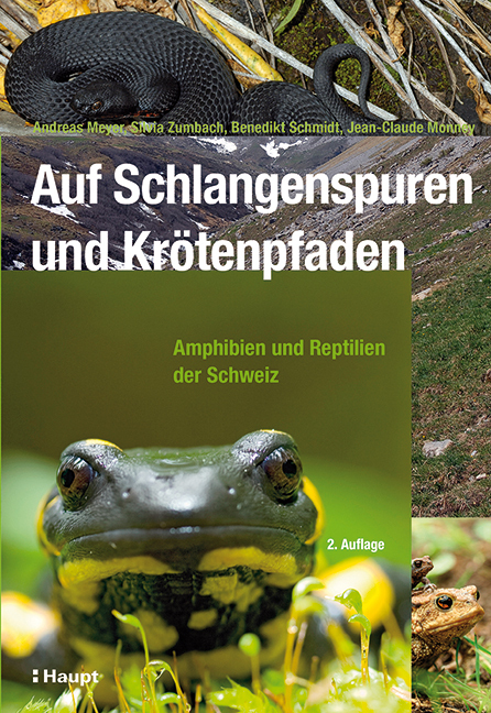 Cover: 9783258078748 | Auf Schlangenspuren und Krötenpfaden | Andreas Meyer (u. a.) | Buch