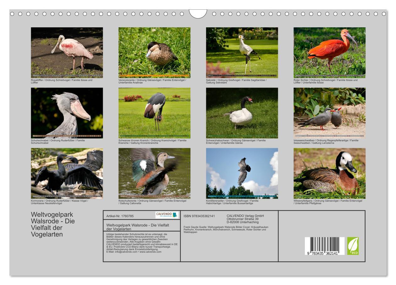 Bild: 9783435362141 | Weltvogelpark Walsrode - Die Vielfalt der Vogelarten (Wandkalender...