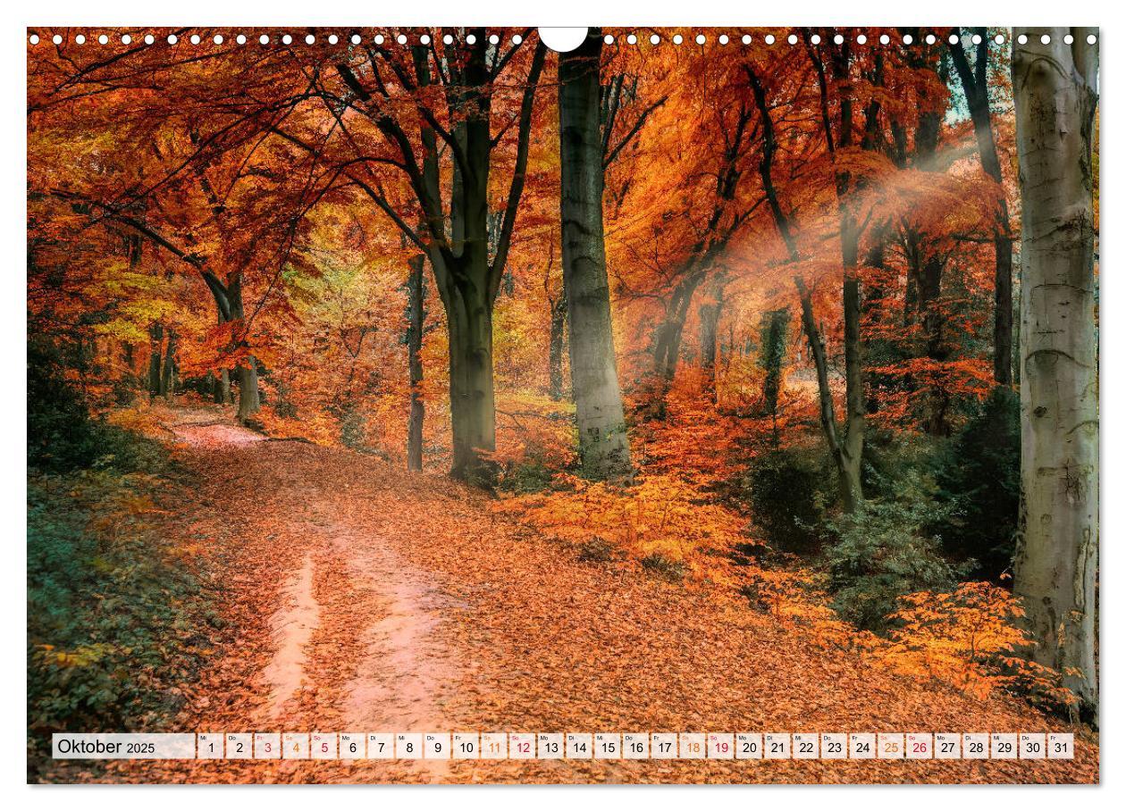 Bild: 9783435071623 | Wald - mystische Spaziergänge (Wandkalender 2025 DIN A3 quer),...