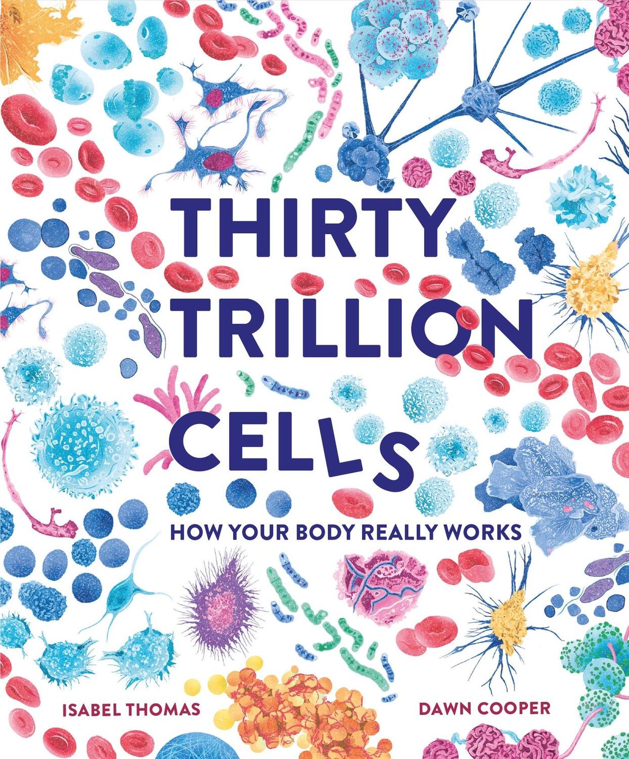 Cover: 9781803380131 | Thirty Trillion Cells | How Your Body Really Works | Isabel Thomas
