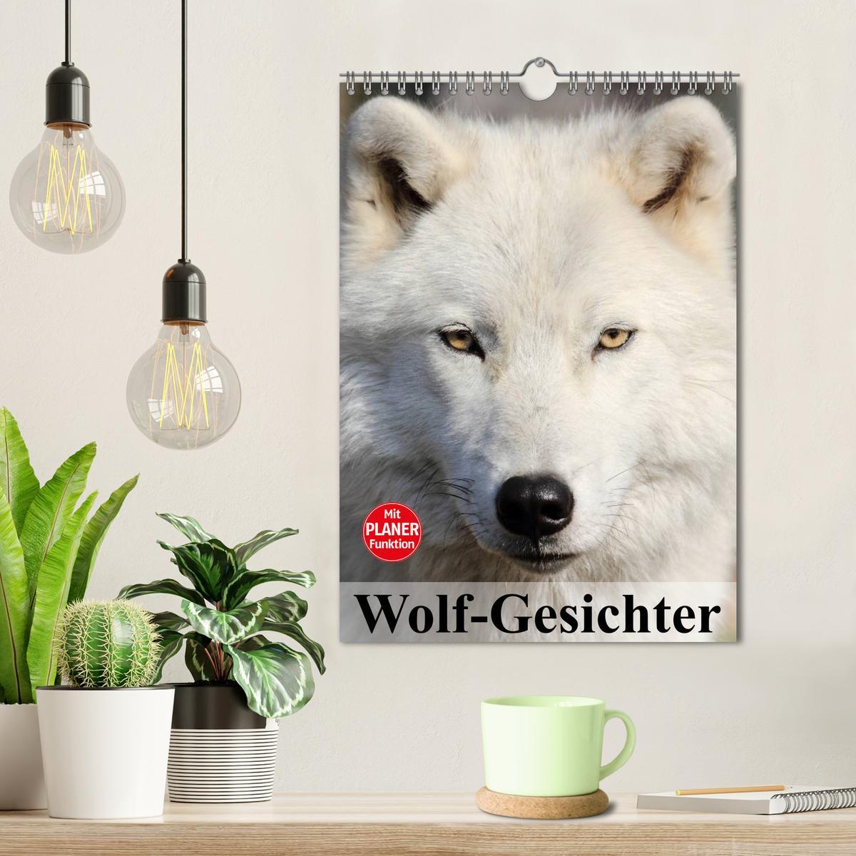 Bild: 9783457024201 | Wolf-Gesichter (Wandkalender 2025 DIN A4 hoch), CALVENDO...