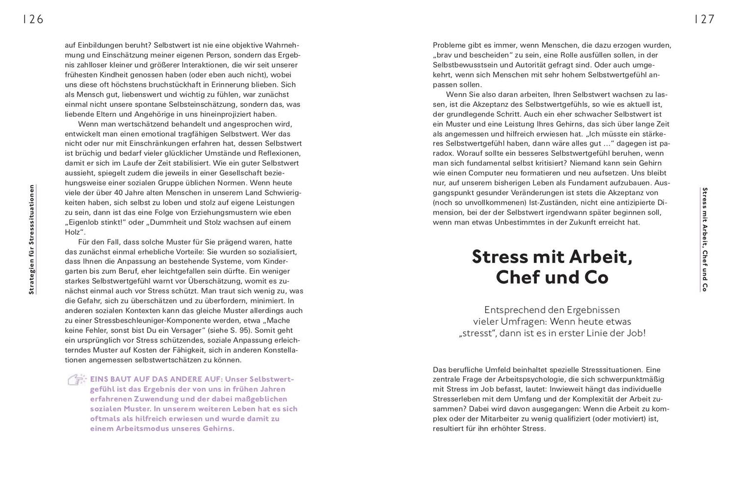 Bild: 9783747106464 | Stress positiv nutzen | Ganz locker auf der Stresswelle surfen | Buch