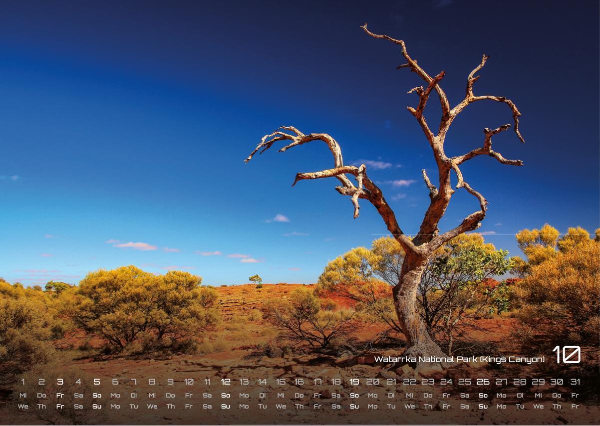 Bild: 9783986733803 | Australien - das Land der Kängurus - 2025 - Kalender DIN A3 | de