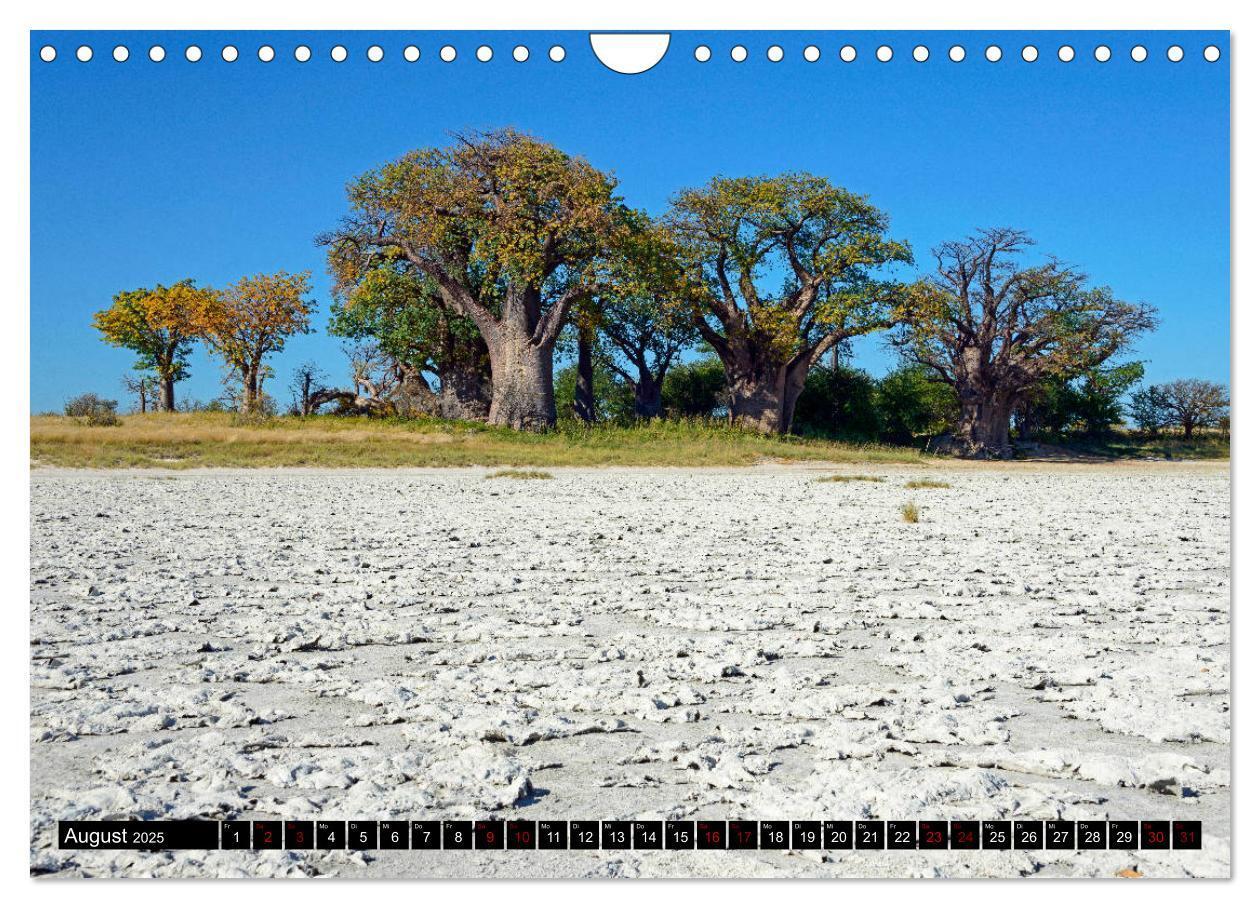 Bild: 9783435452514 | Faszination Botswana (Wandkalender 2025 DIN A4 quer), CALVENDO...