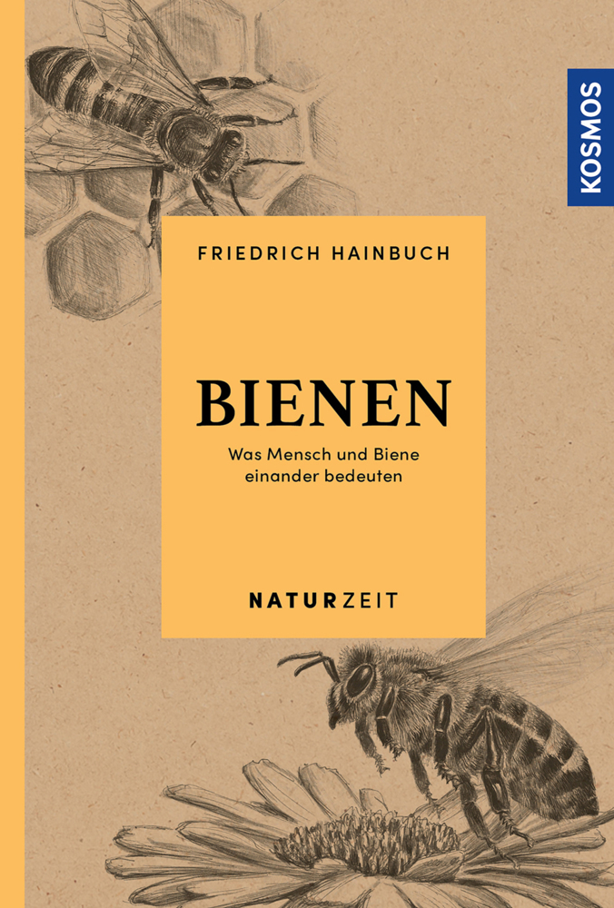 Cover: 9783440160428 | Bienen | Was Mensch und Biene einander bedeuten | Friedrich Hainbuch