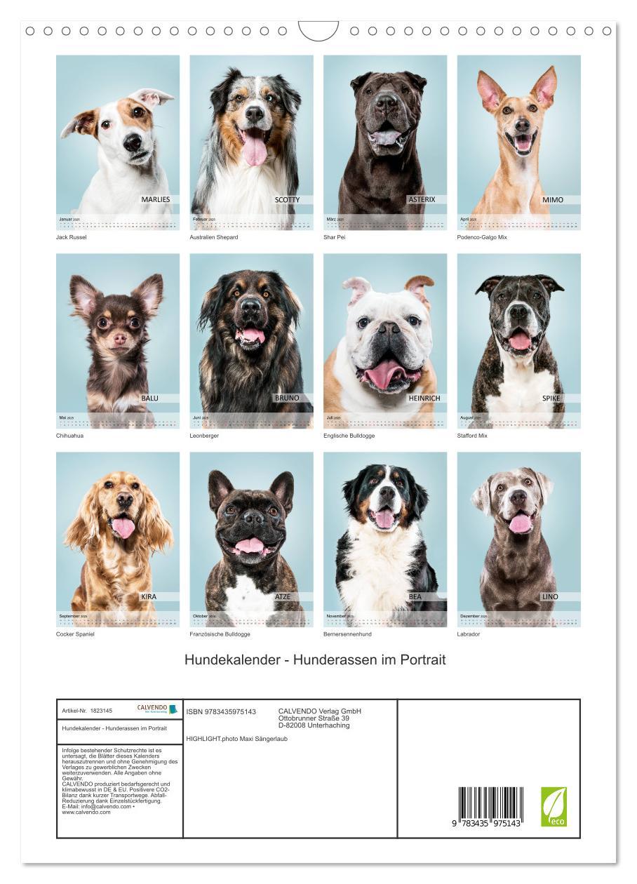 Bild: 9783435975143 | Hundekalender - Hunderassen im Portrait (Wandkalender 2025 DIN A3...