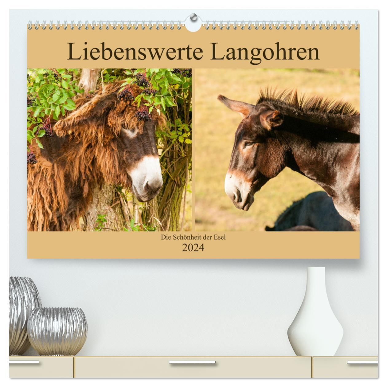 Cover: 9783383040559 | Liebenswerte Langohren - Die Schönheit der Esel (hochwertiger...