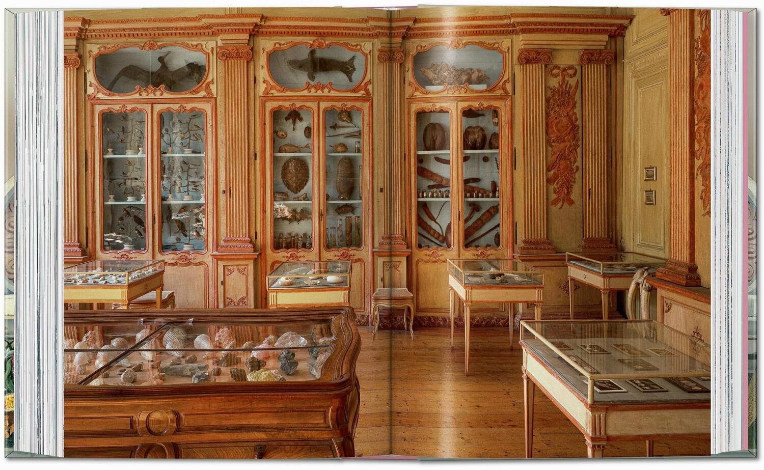 Bild: 9783836593786 | Massimo Listri. Cabinet of Curiosities. 40th Ed. | Carciotto (u. a.)