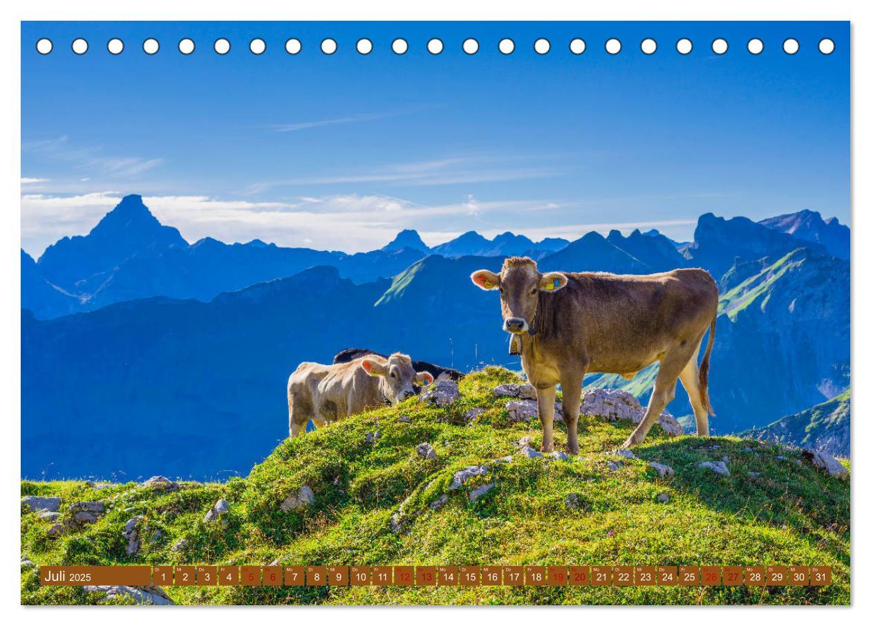 Bild: 9783435346332 | Allgäuer Schönheiten Allgäu - Land der Kühe (Tischkalender 2025 DIN...