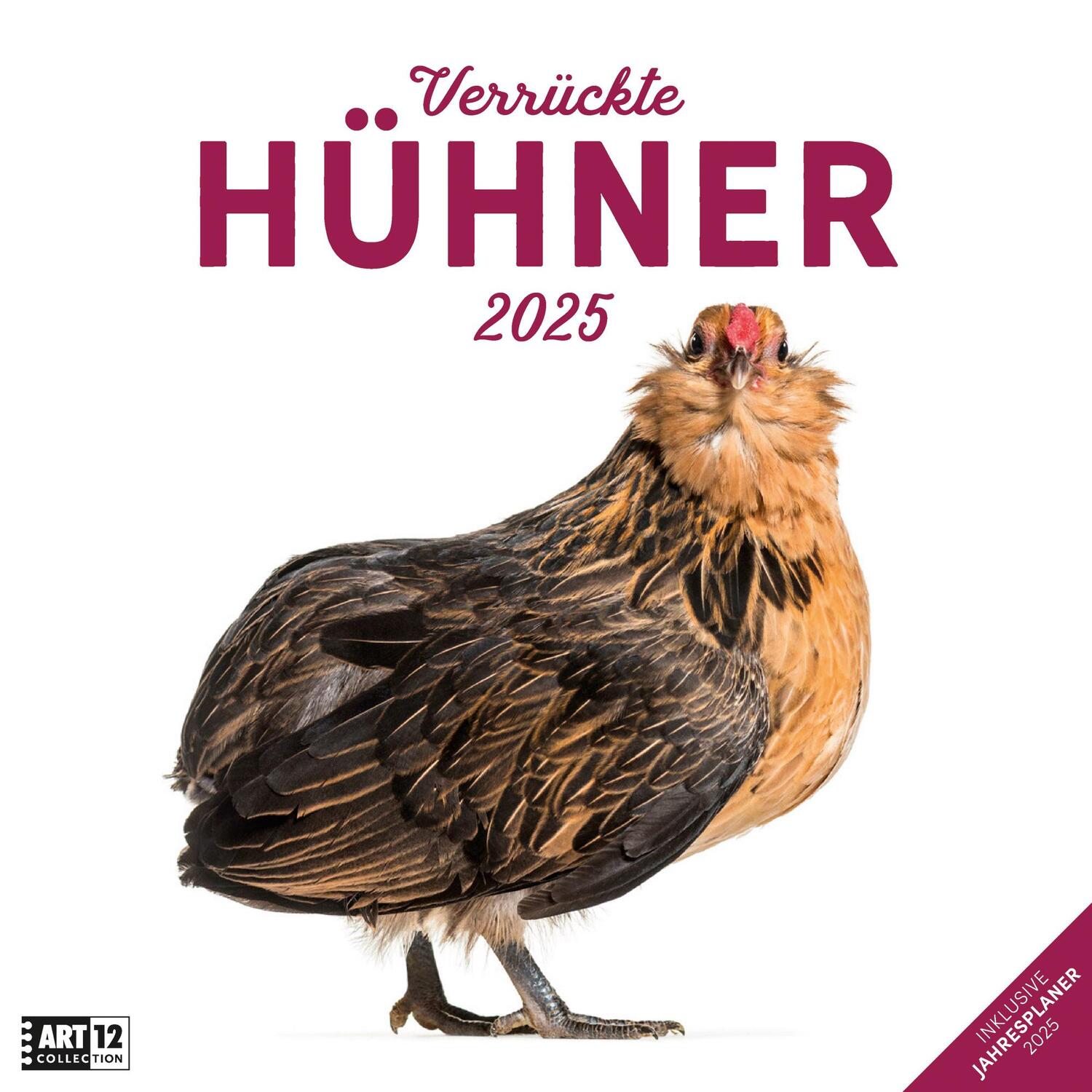 Cover: 9783838445199 | Verrückte Hühner Kalender 2025 - 30x30 | Ackermann Kunstverlag | 28 S.