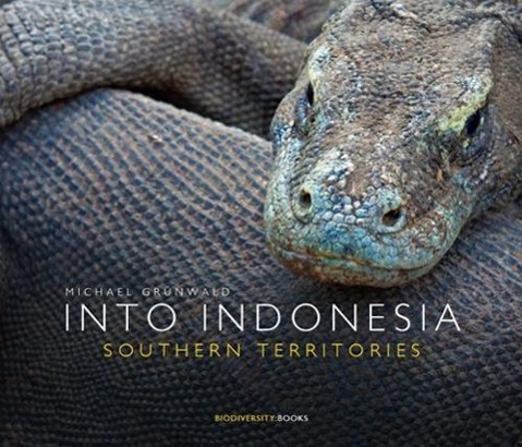 Cover: 9783200041271 | INTO INDONESIA. Southern Territories | Michael Grünwald | Buch | 2015