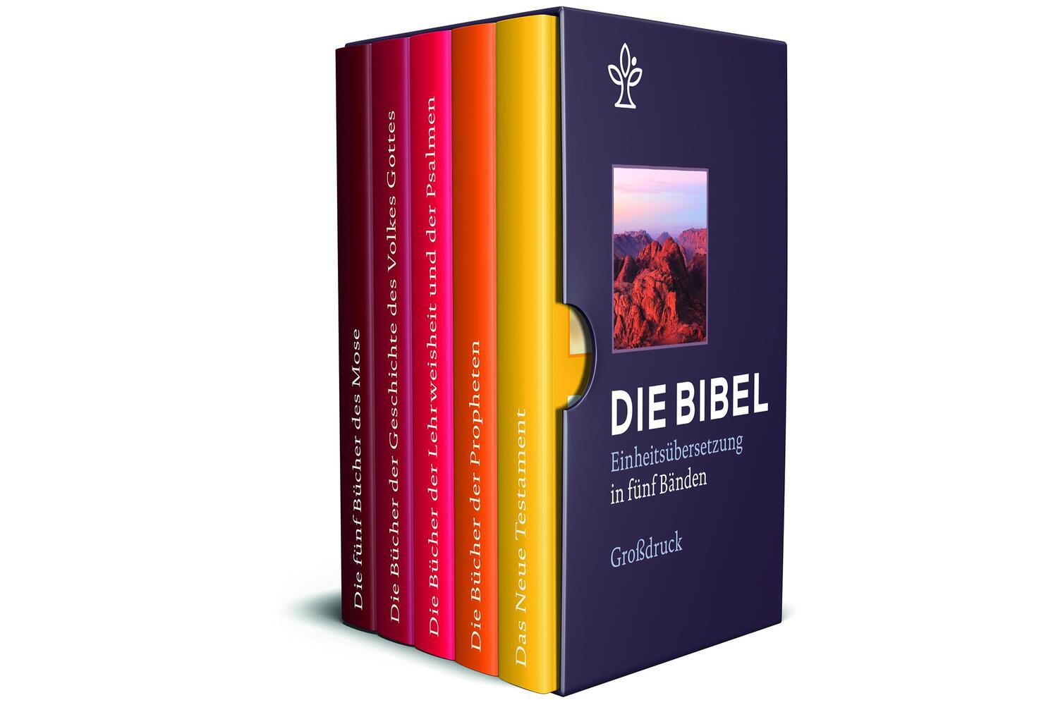 Cover: 9783920609553 | Bibel in 5 Einzelbüchern in Geschenkkassette, Großdruck | Buch | 2017