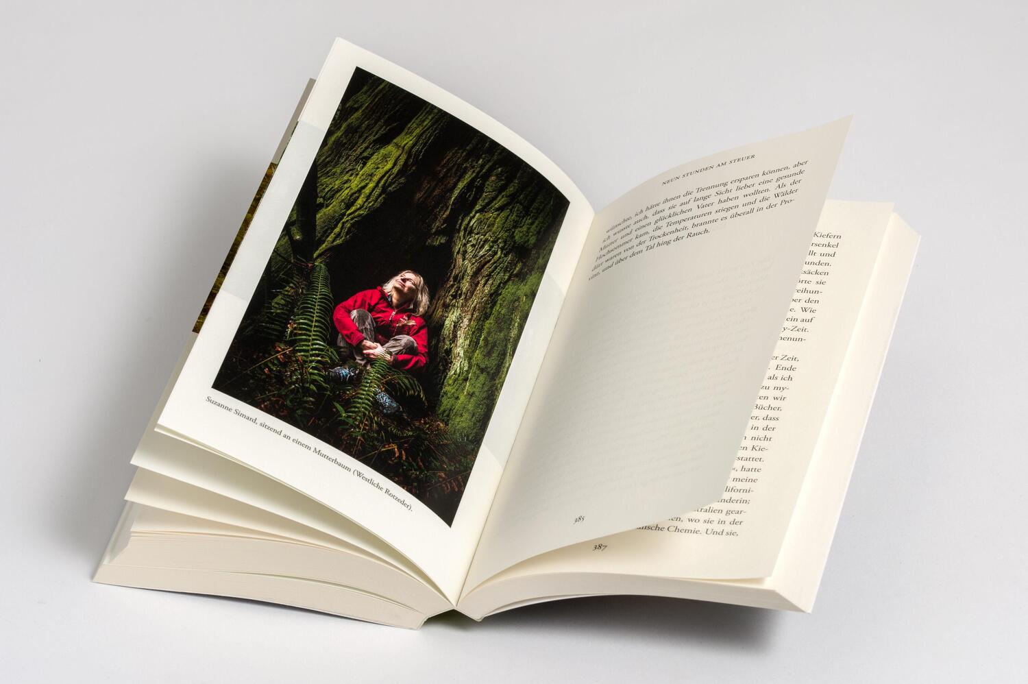 Bild: 9783442773923 | Die Weisheit der Wälder | Suzanne Simard | Taschenbuch | 544 S. | 2024