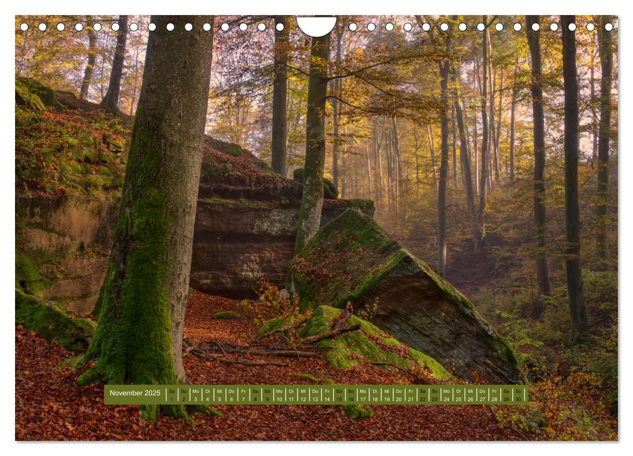 Bild: 9783383939549 | Magischer Pfälzer Wald (Wandkalender 2025 DIN A4 quer), CALVENDO...