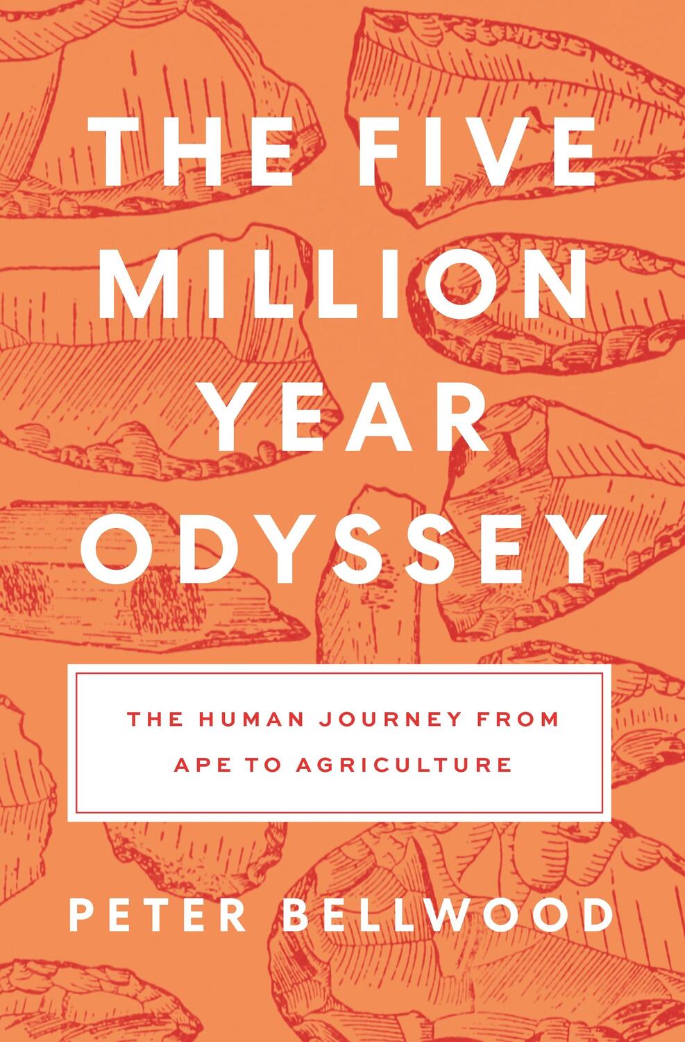 Cover: 9780691197579 | The Five-Million-Year Odyssey | Peter Bellwood | Buch | Gebunden