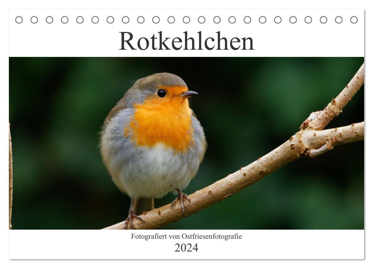 Cover: 9783675500976 | Rotkehlchen - Fotografiert von Ostfriesenfotografie (Tischkalender...
