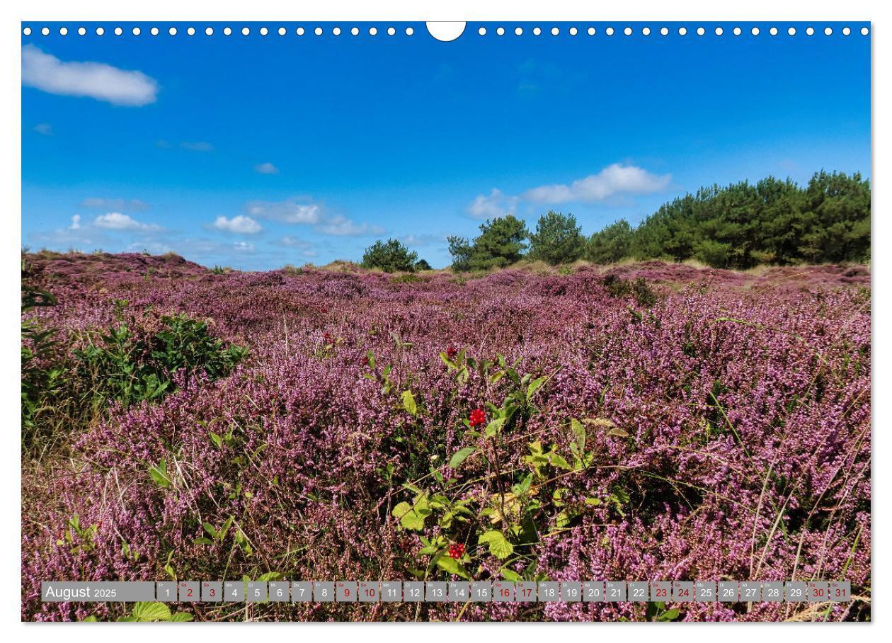 Bild: 9783435688852 | Vlieland Perle an der Nordsee (Wandkalender 2025 DIN A3 quer),...