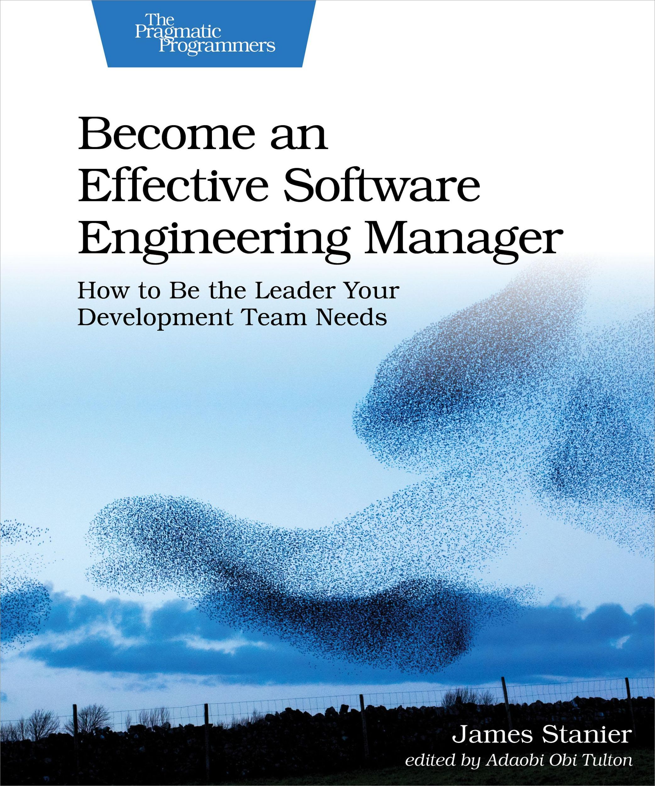 Cover: 9781680507249 | Become an Effective Software Engineering Manager | James Stanier