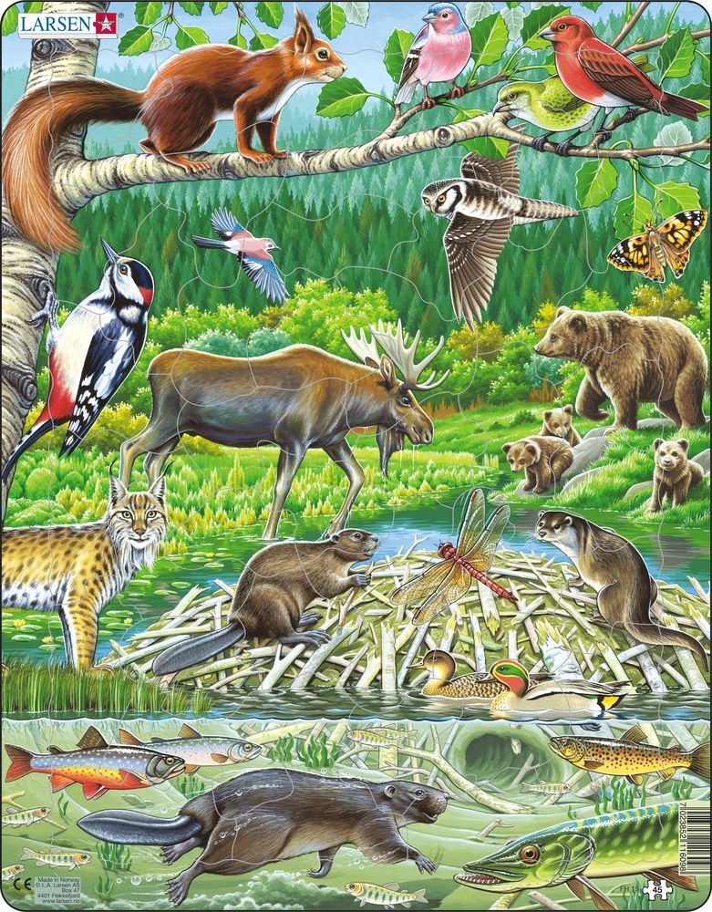 Cover: 7023852116098 | Puzzle - Tiere im Wald (nordisch) | Puzzle | Larsen