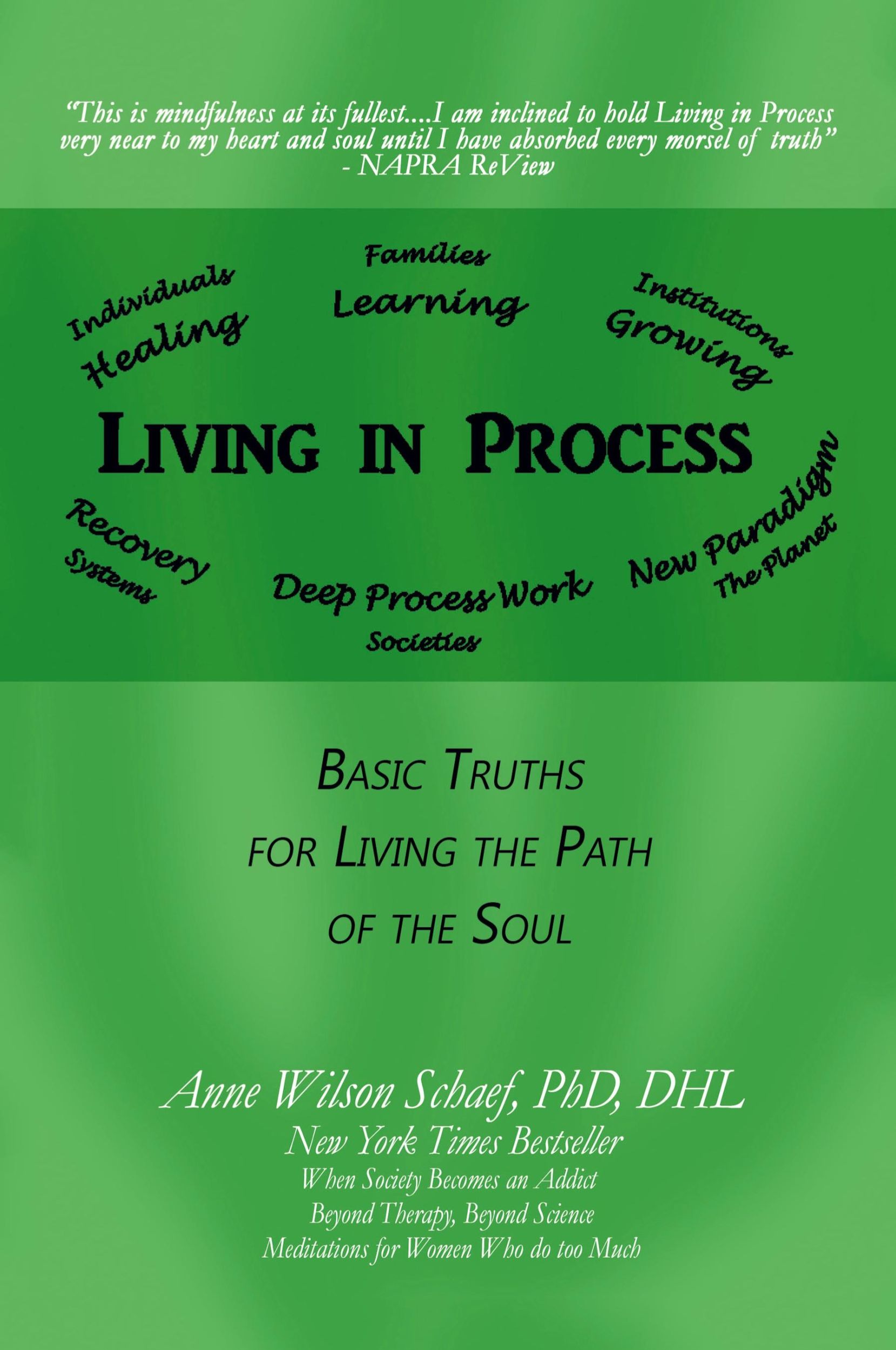 Cover: 9781532030529 | Living in Process | Basic Truths for Living the Path of the Soul