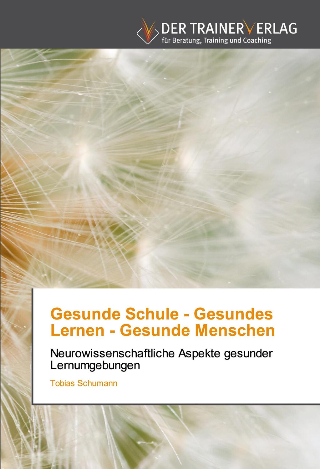 Cover: 9786202494090 | Gesunde Schule - Gesundes Lernen - Gesunde Menschen | Tobias Schumann