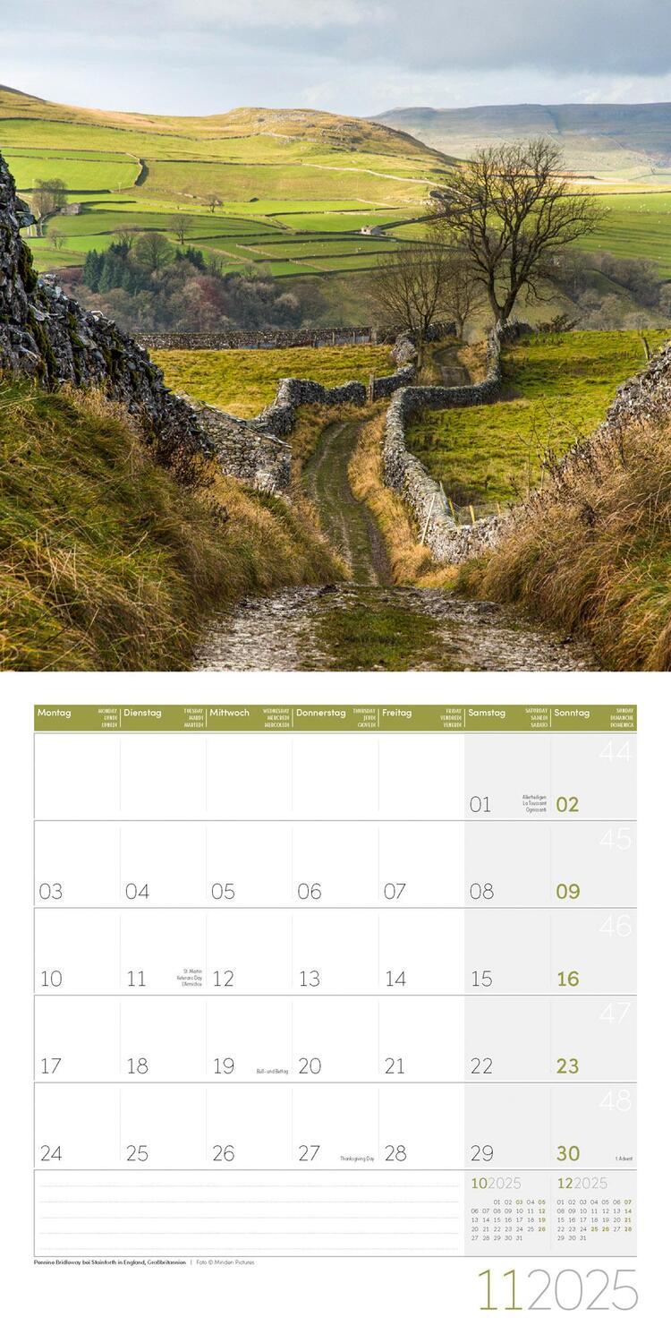 Bild: 9783838445045 | Traumpfade Kalender 2025 - 30x30 | Ackermann Kunstverlag | Kalender