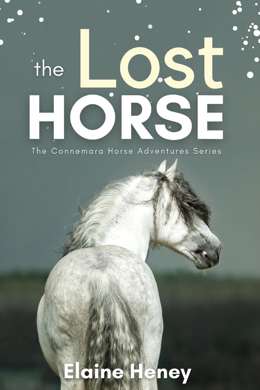 Cover: 9781915542113 | The Lost Horse - Book 6 in the Connemara Horse Adventure Series for...