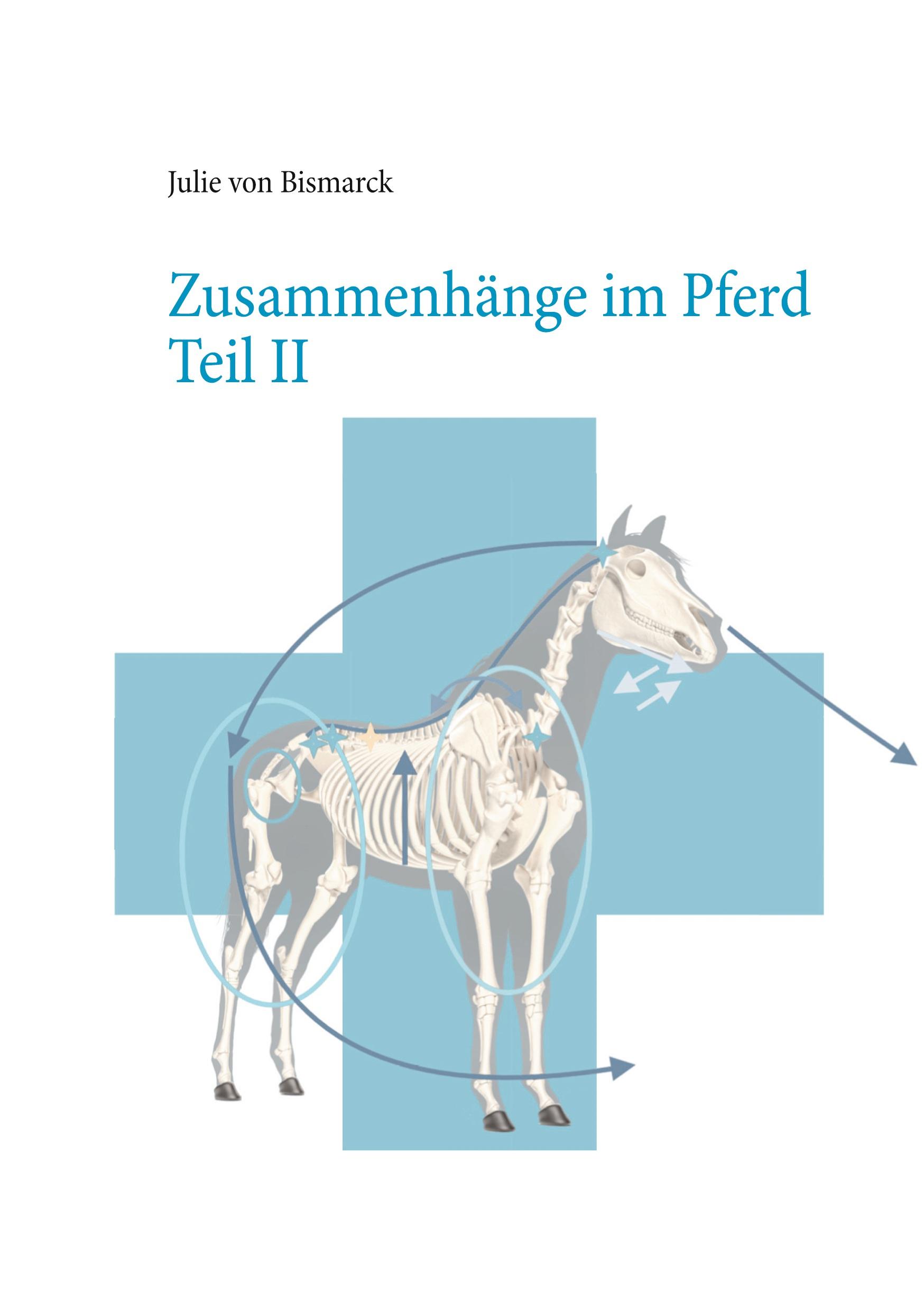 Cover: 9783982041483 | Zusammenhänge im Pferd Teil II | Julie von Bismarck | Taschenbuch