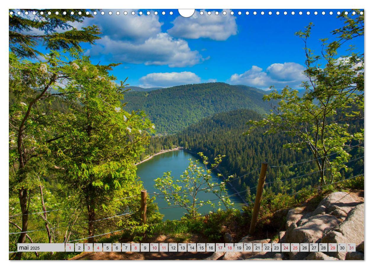 Bild: 9781325937813 | Splendeurs des Vosges (Calendrier mural 2025 DIN A3 vertical),...