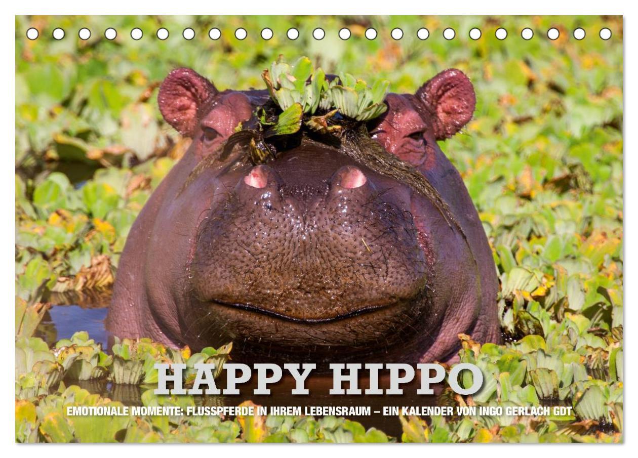 Cover: 9783435735365 | Emotionale Momente. Happy Hippo / CH-Version (Tischkalender 2025...