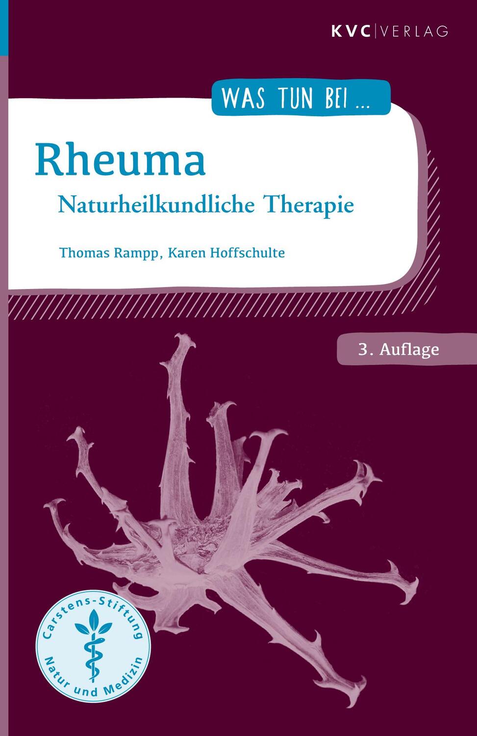 Cover: 9783945150849 | Rheuma | Naturheilkundliche Therapie | Thomas Rampp (u. a.) | Buch