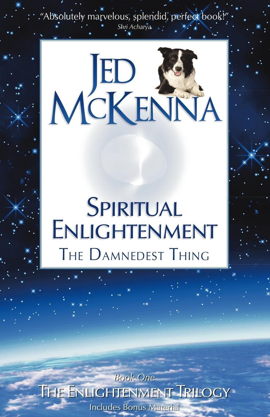Cover: 9780980184846 | Spiritual Enlightenment | The Damnedest Thing | Jed Mckenna | Buch