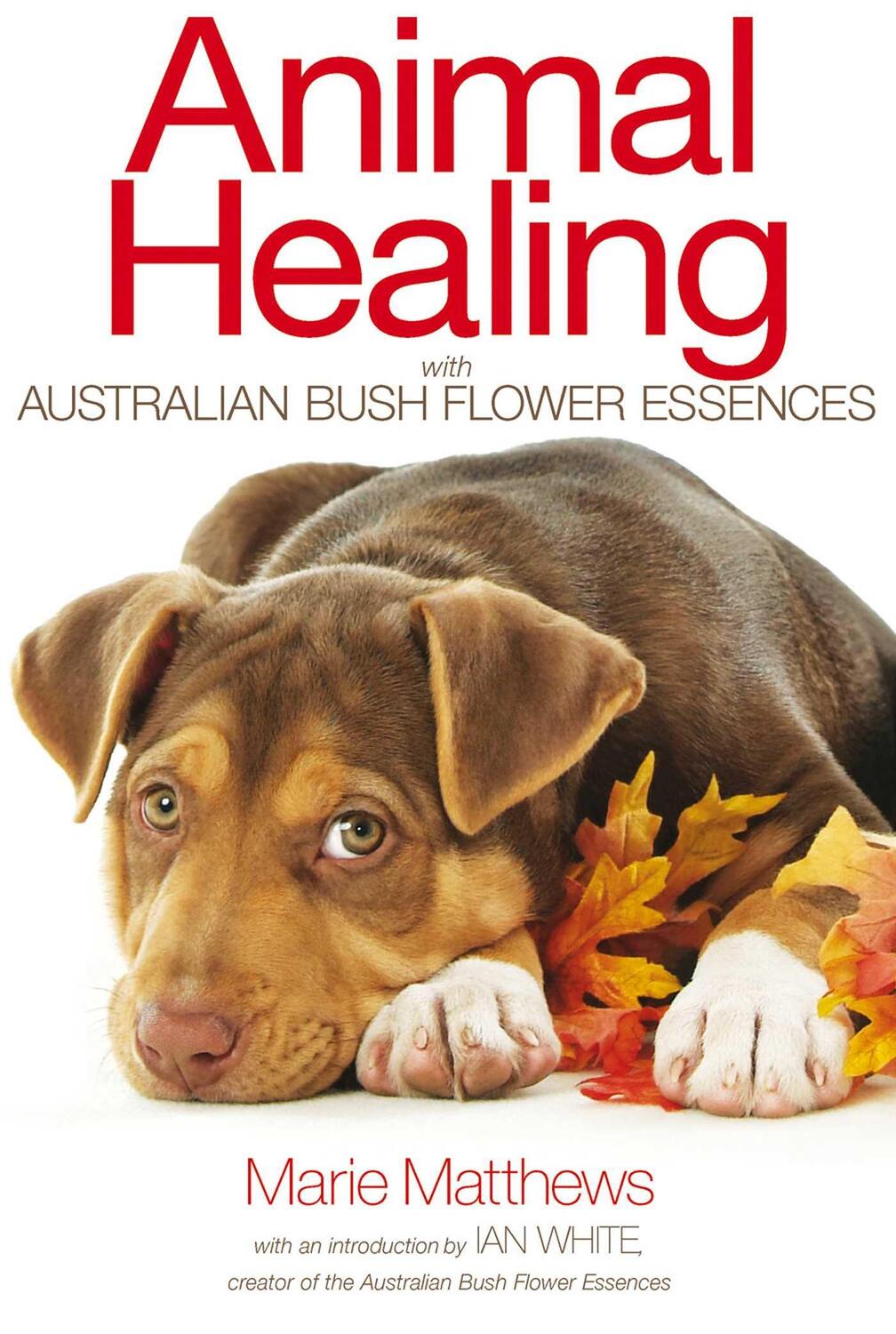 Cover: 9781844096107 | Animal Healing with Australian Bush Flower Essences | Marie Matthews