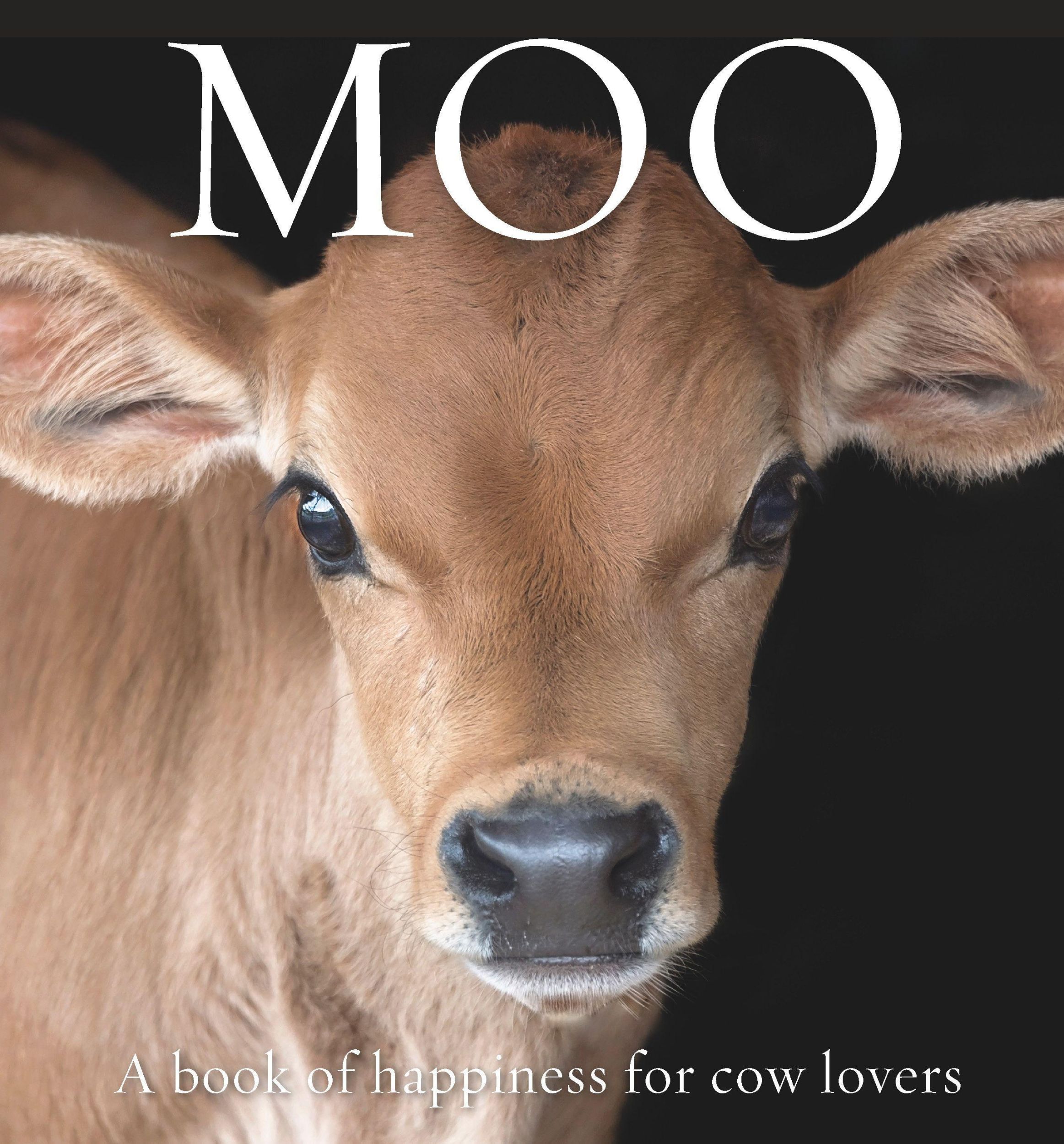 Cover: 9781922539052 | Moo | A Book of Happiness for Cow Lovers | Angus St John Galloway