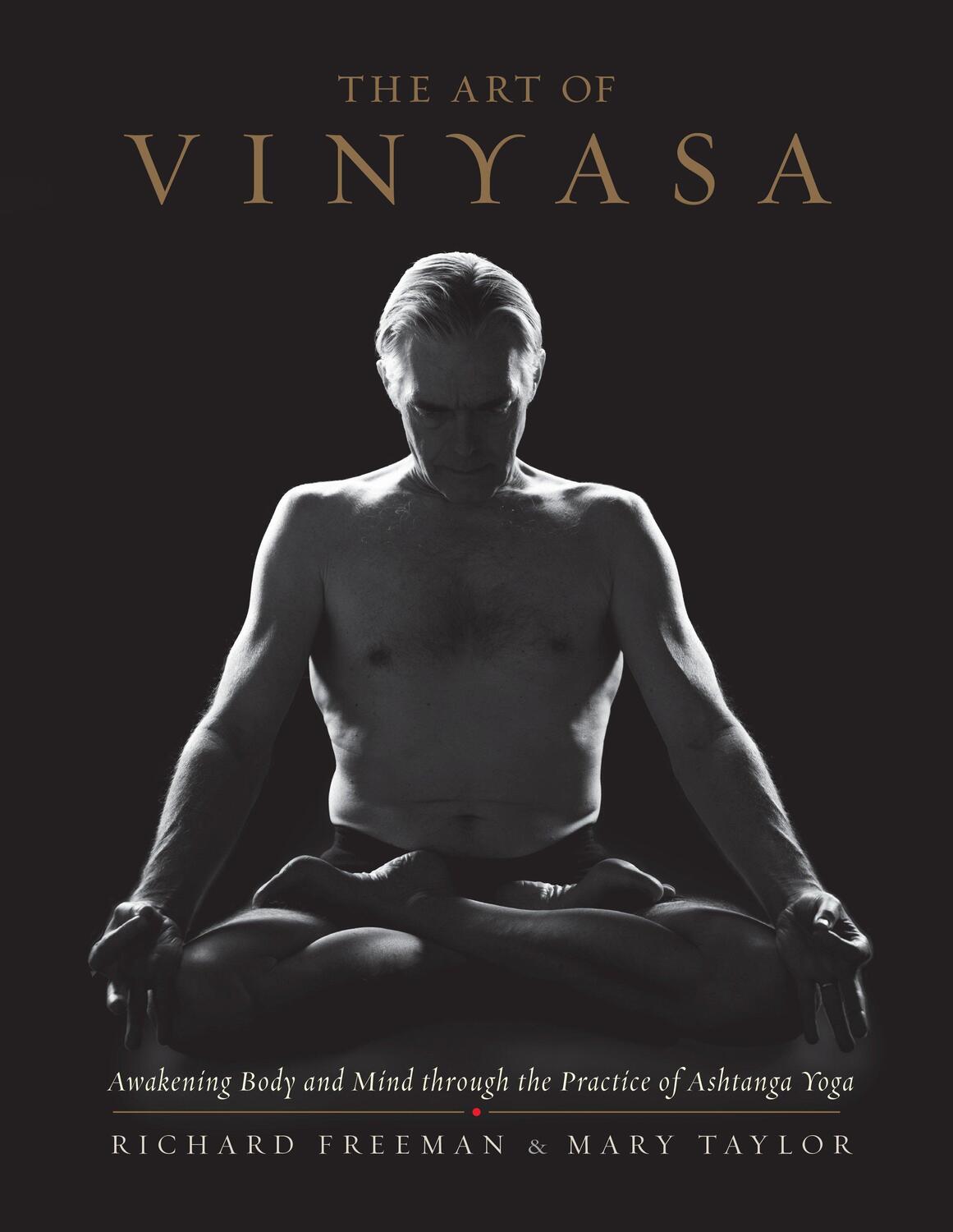 Cover: 9781611802795 | The Art of Vinyasa | Richard Freeman (u. a.) | Taschenbuch | Englisch