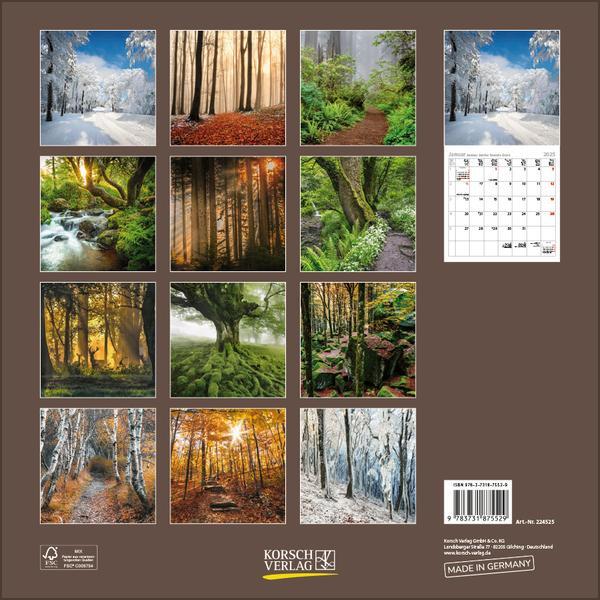 Bild: 9783731875529 | Magische Wälder 2025 | Verlag Korsch | Kalender | 13 S. | Deutsch