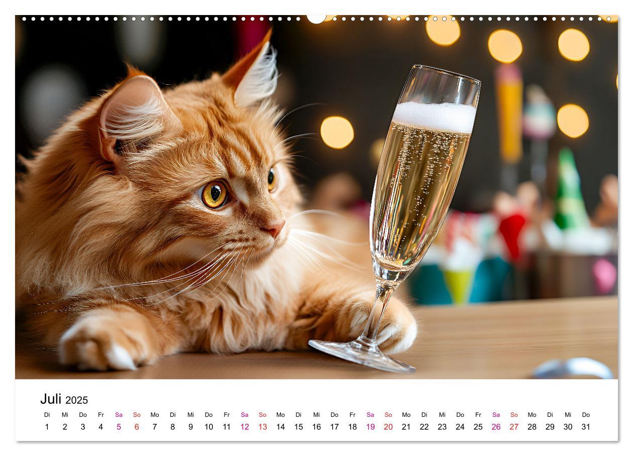 Bild: 9783457218310 | Katzenzauber - Samtpfoten im Jahreslauf (Wandkalender 2025 DIN A2...