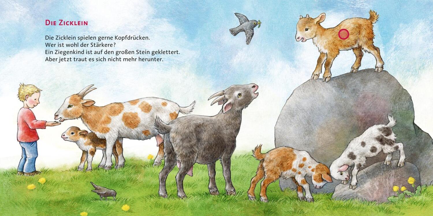Bild: 9783551250469 | Hör mal (Soundbuch): Die Tierkinder | Anne Möller | Buch | 16 S.