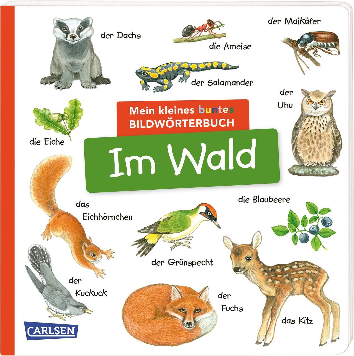 Cover: 9783551173027 | Mein kleines buntes Bildwörterbuch: Im Wald | Buch | Deutsch | 2023