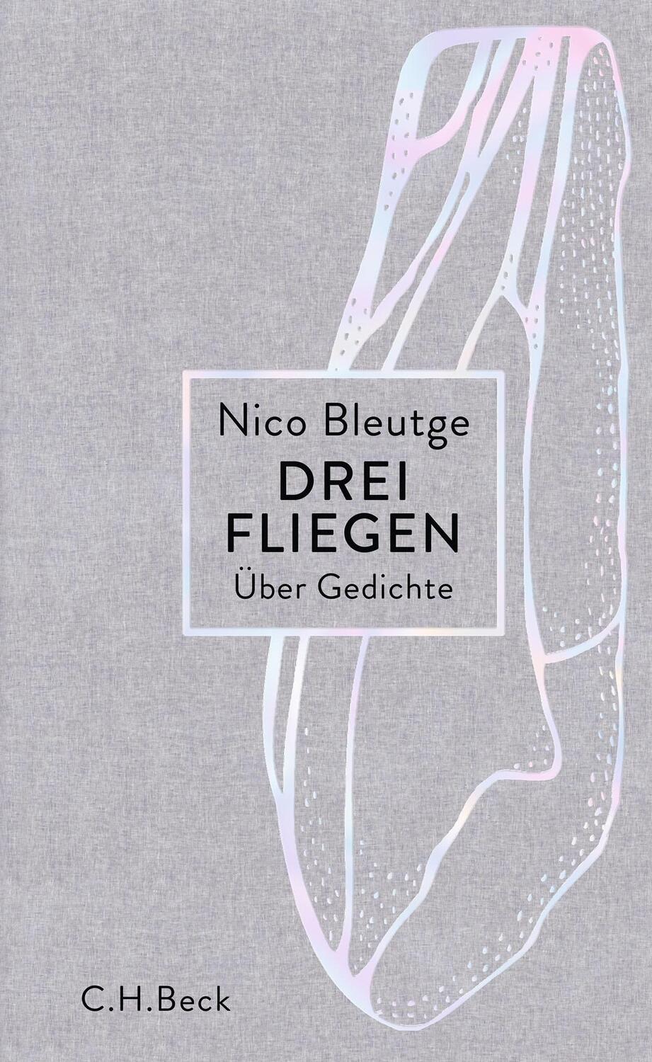 Cover: 9783406755330 | Drei Fliegen | Über Gedichte | Nico Bleutge | Buch | 327 S. | Deutsch