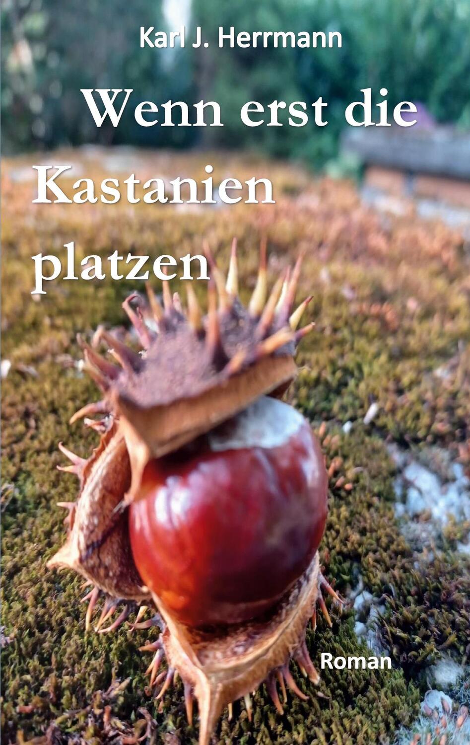 Cover: 9783758387579 | Wenn erst die Kastanien platzen | Karl J. Herrmann | Taschenbuch