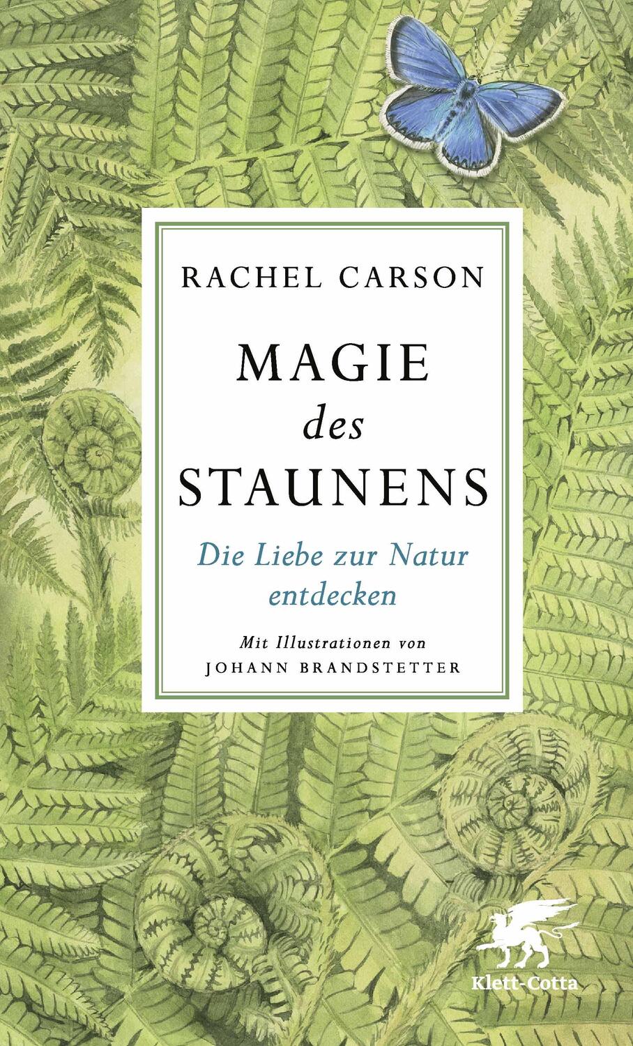 Cover: 9783608964103 | Magie des Staunens | Die Liebe zur Natur entdecken | Rachel Carson