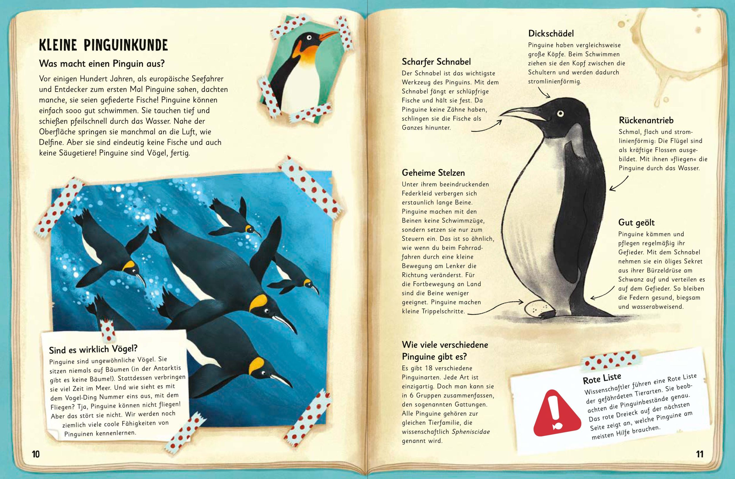 Bild: 9783328303282 | Was für Sachen Pinguine machen | Sachbilderbuch ab 6 Jahren | Jones